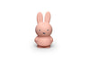 Miffy Piggy Bank Small